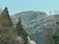 -妙峰山风景名胜区