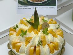 -半分甜(台柳路店)