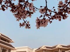 -秦始皇帝陵博物院(兵马俑)