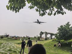 -空港花田景区