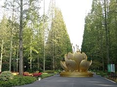 -东平国家森林公园