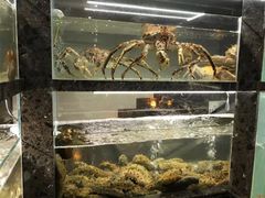 水产区-甄御•海鲜新青岛菜(麦岛店)