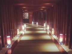 -重庆南山海昌汤都