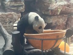 -石家庄市动物园