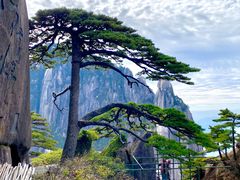 -黄山风景区