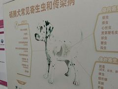 -宠颐生宠物医院外科·内科·皮肤科·影像科(石龙店)