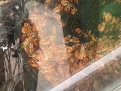 -灵山卢梅燕粉店