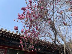 -潭柘寺景区