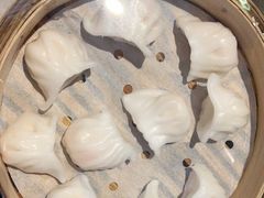 -青蓬蒸汽海鲜·深圳老字号·团建聚会(壹方城店)