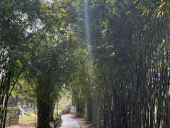 -堤角公园