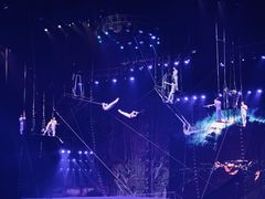 -广州长隆国际大马戏