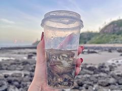 -漳州滨海火山岛自然生态风景区