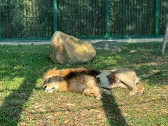 -广州动物园