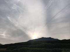-龙坞茶村