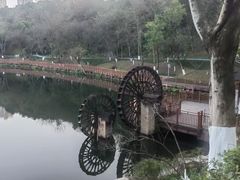 -重庆彩云湖湿地公园