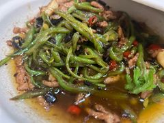 -邵年鸽(杨庄店)