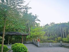 -滴水岩森林公园