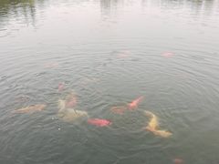 -西南政法大学(渝北校区)