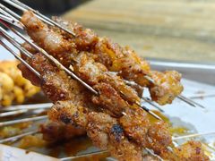 -海波肉串(金顶山大街店)