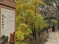 -北京鹫峰国家森林公园