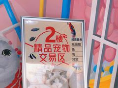 -青石桥花鸟鱼虫市场(叠翠城店)