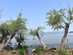 -捞渔河湿地公园