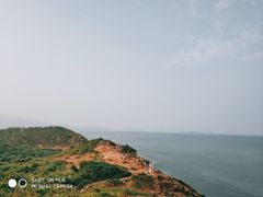 -杨梅坑