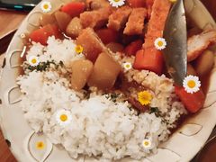 咖喱炸猪排堤坝饭-Ginko银子(青龙街店)
