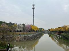 -姚林轩