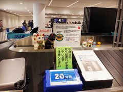 -中部国际机场