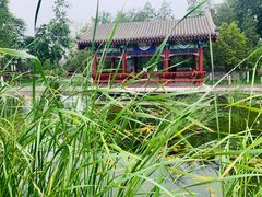 -西海子公园