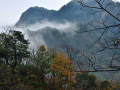 祁门牯牛降轻雾慢涌-祁门牯牛降观音堂风景区