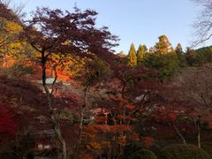 -醍醐寺