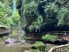 -碧峰峡风景区
