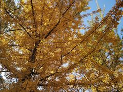 -辽东学院(南校区)