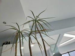 -KIMI HAIR SALON·烫染设计店
