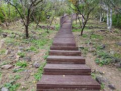 -北京十三陵国家森林公园蟒山景区