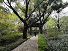 -汇龙潭