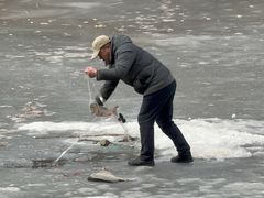 -五家山森林公园滑雪场