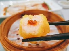 -永生国际宴会中心·佛山老字号·鱼生