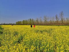 -汉长安城未央宫国家考古遗址公园