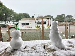 -树山生态村