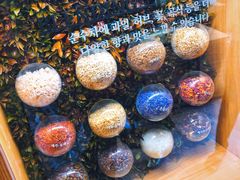 -雪绿茶博物馆