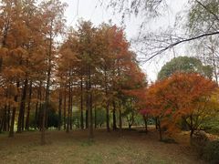 -宝界山林公园