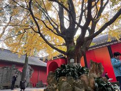 -成都武侯祠博物馆