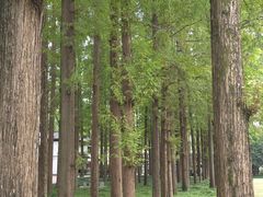 -东坡赤壁风景名胜区