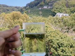 -阿巧茶庄
