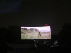 -枫花园汽车电影院(朝阳公园店)