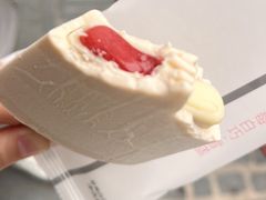 -钟薛高(南头古城店)
