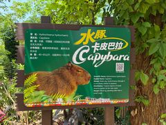 -海南热带野生动植物园